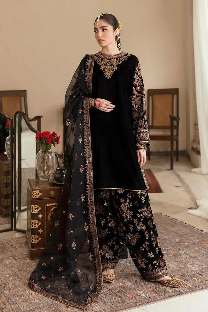 Embroidered Velvet Dress With Organza embroidered Dopata-SR147