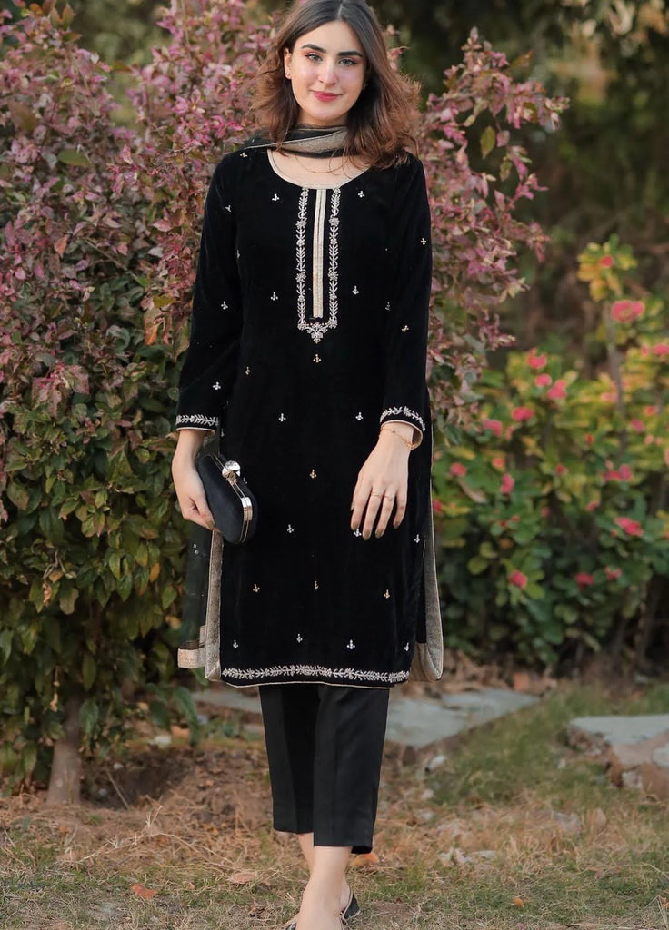 Black velvet outlet embroidered dress